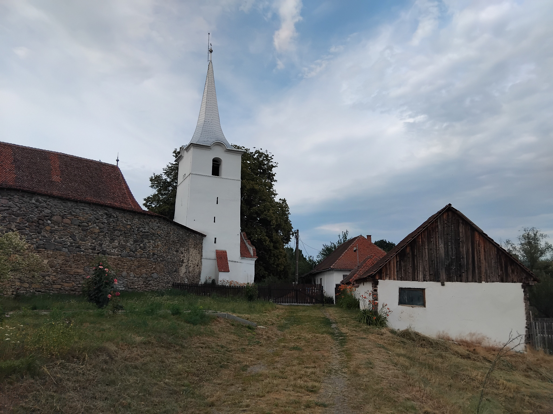 Székely tájnyelvi biblia fordítás